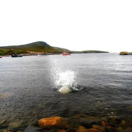 The Yellow Rose Belderg