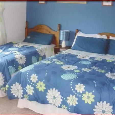 Bed & Breakfast The Yellow Rose