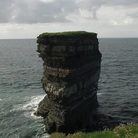 The Yellow Rose Ballina (Mayo)