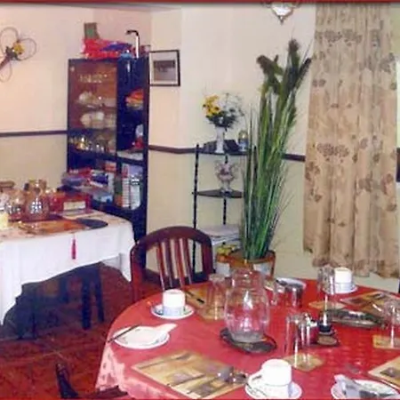 The Yellow Rose Bed & Breakfast