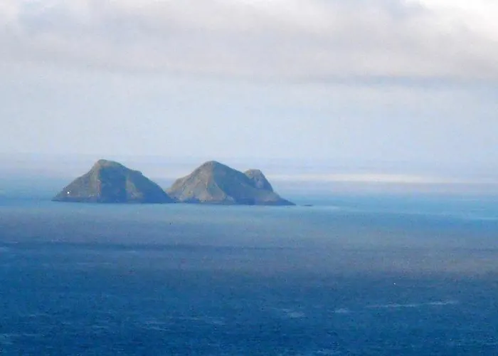 The Yellow Rose Отель типа 