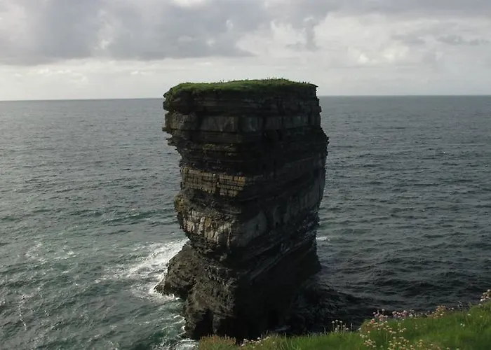 The Yellow Rose Belderg