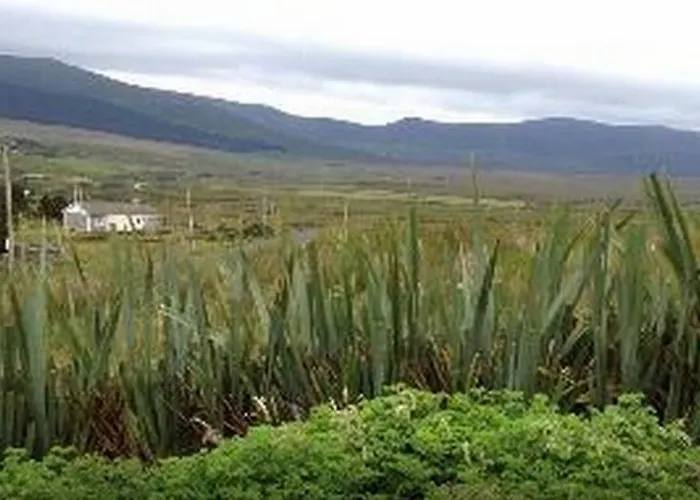 Bed & Breakfast The Yellow Rose 3*