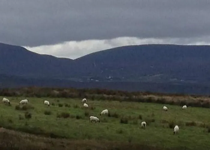 The Yellow Rose Frühstückspension 3*