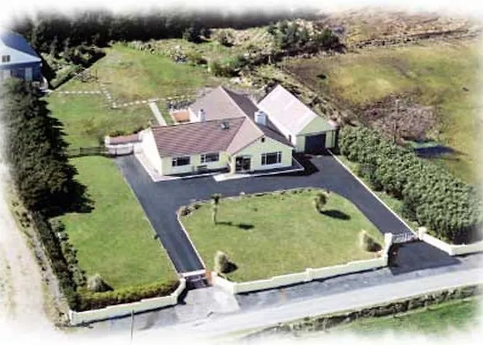 The Yellow Rose Belderg