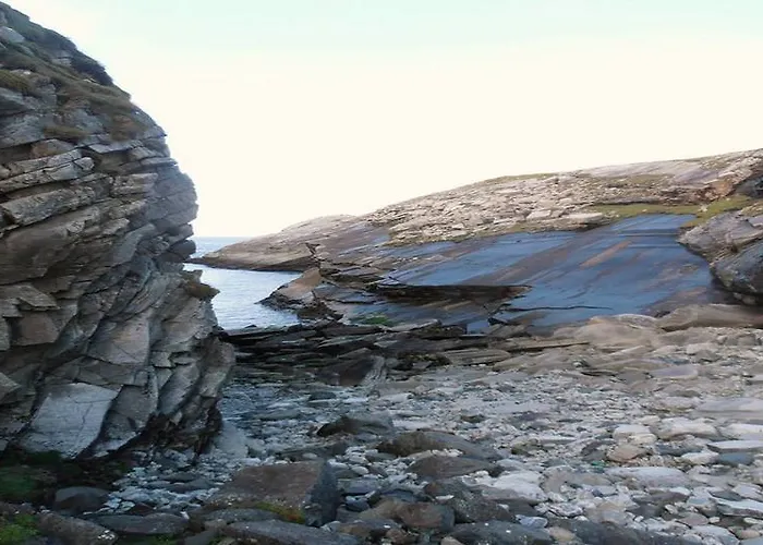 The Yellow Rose Отель типа 